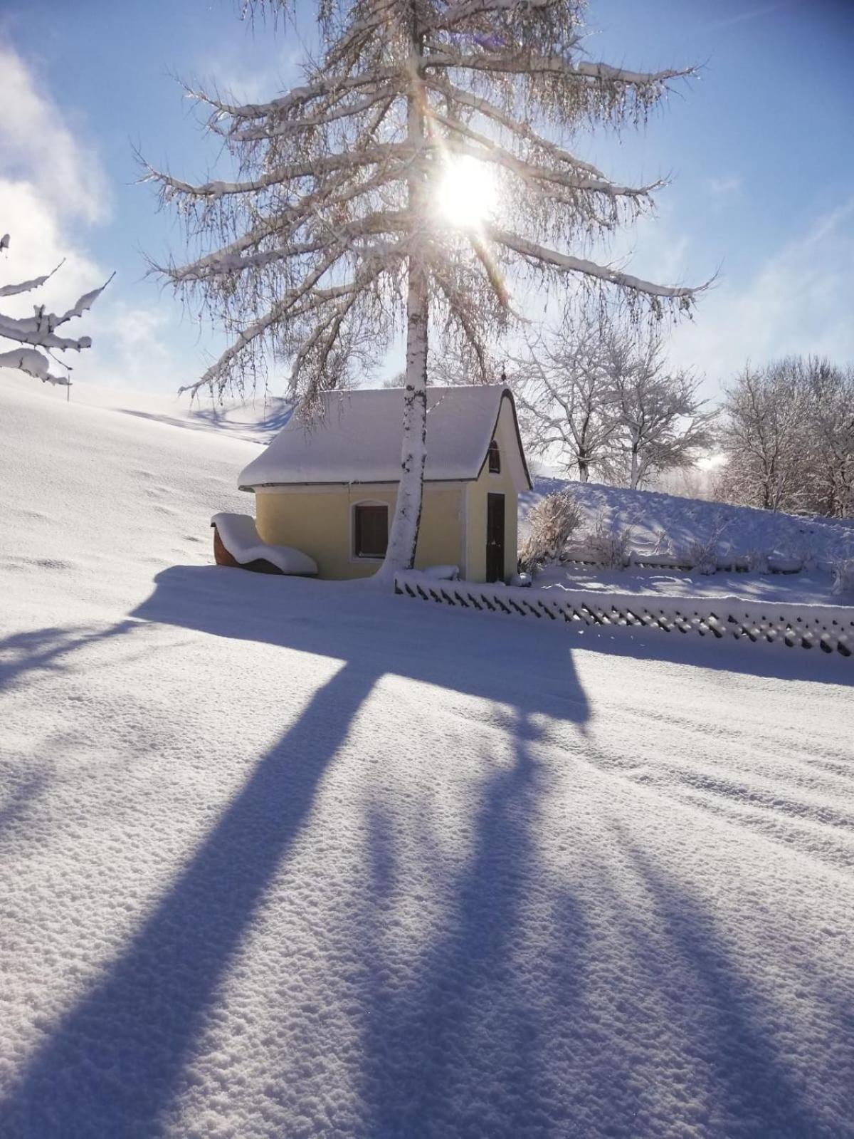 Alpenchalets Oberlaiming Itter Kültér fotó